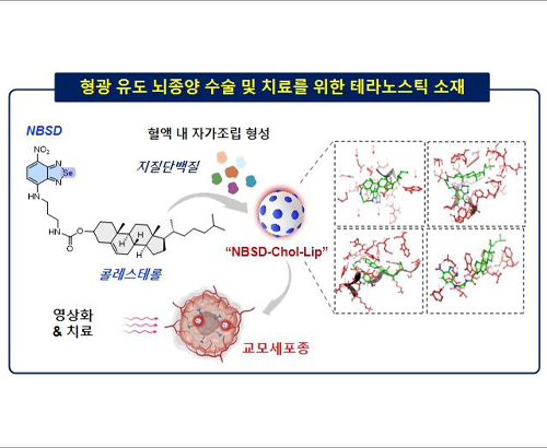 경희대학교 로고 이미지