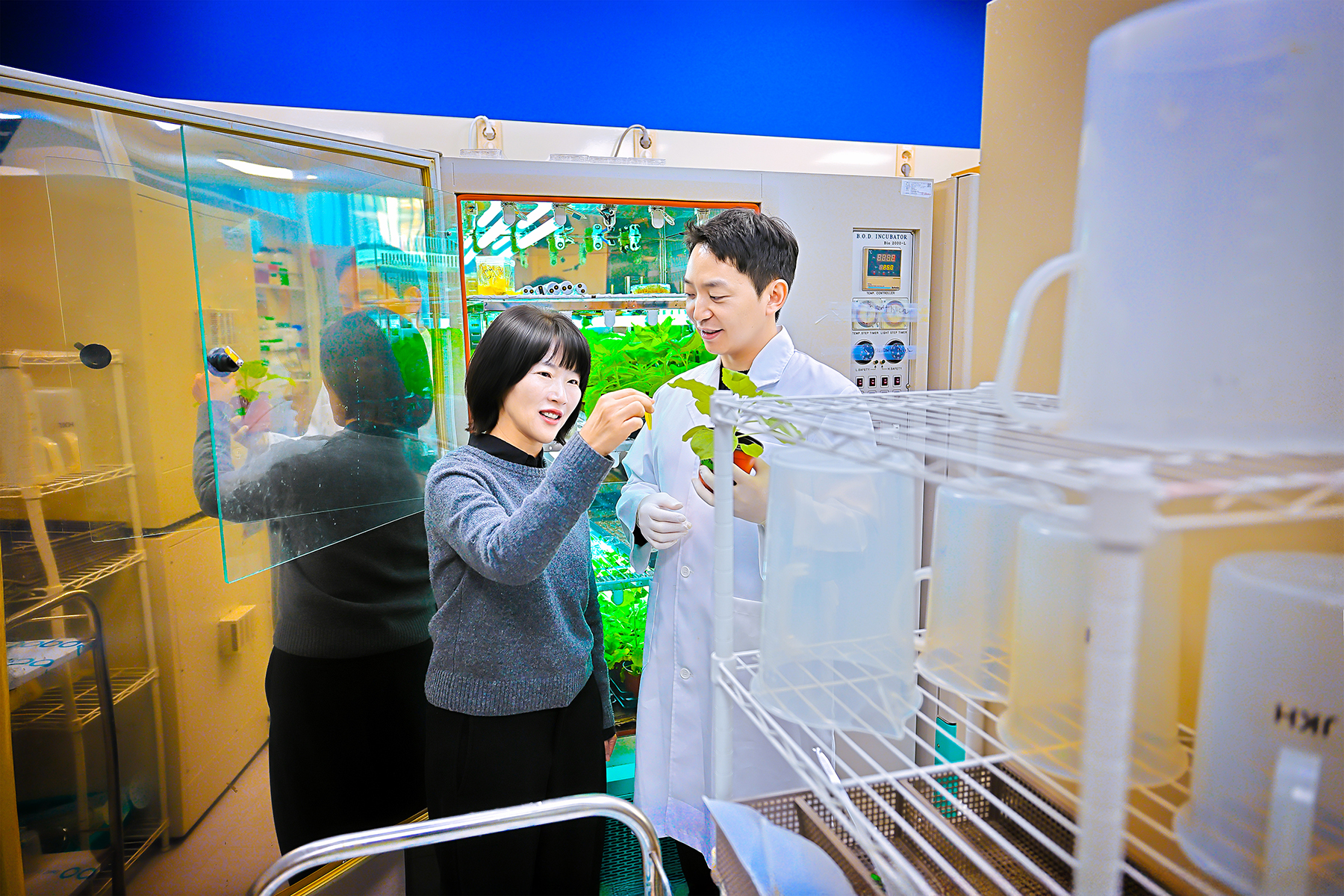 경희대학교 로고 이미지